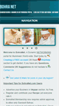 Mobile Screenshot of bohranet.com